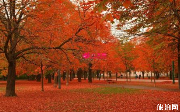 韩国秋季徒步路线推荐