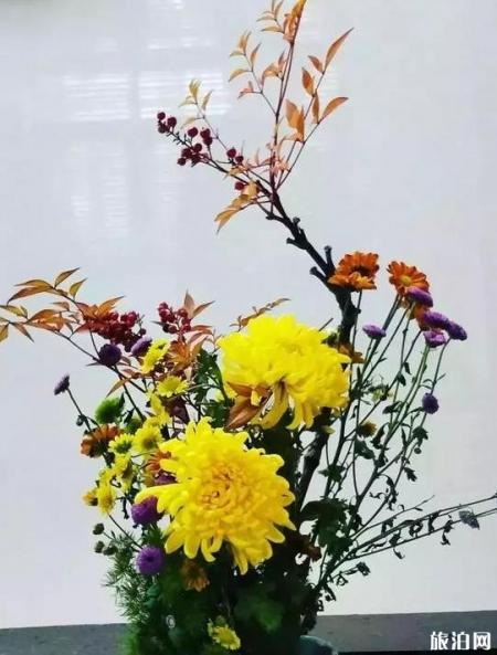 2018武汉菊花展在哪里举办