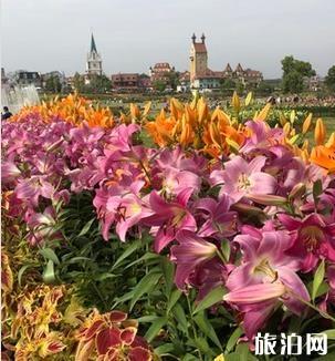 2018武汉菊花展在哪里举办
