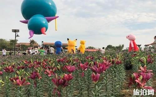 2018武汉菊花展在哪里举办