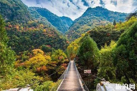 秦岭国道自驾游赏秋最好的路段