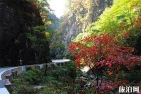 秦岭国道自驾游赏秋最好的路段