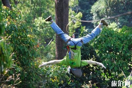 泰国哪里的丛林飞跃好玩 泰国丛林飞跃好玩吗