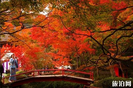 日本京都红叶旅游攻略