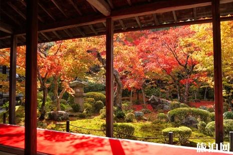 京都南山城哪里可以看枫叶