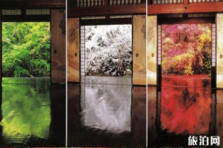 京都南山城哪里可以看枫叶