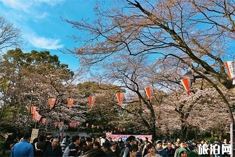 日本東京三日游攻略 日本東京旅游攻略