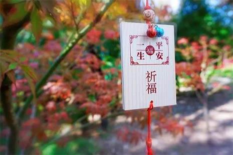 2018上海红枫节是什么时候开始