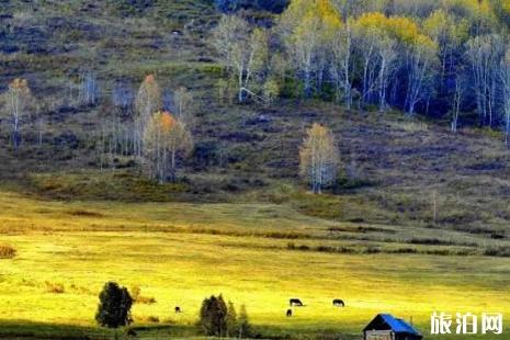 北疆秋季旅游景点有哪些