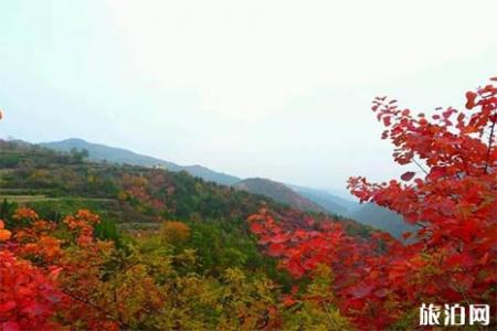 2018王屋山红叶节什么时候举办