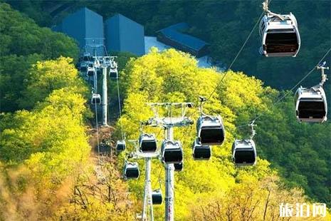 2018王屋山红叶节什么时候举办