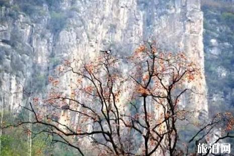 新乡南太行景区在哪里 新乡南太行旅游推荐