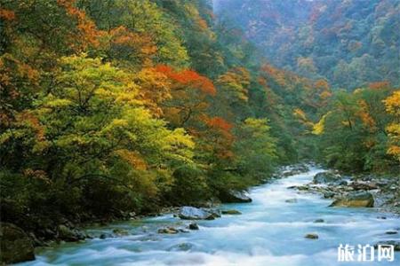 2018宝兴县夹金山要门票吗 夹金山红叶节是什么时候举办 红叶节持续多长时间