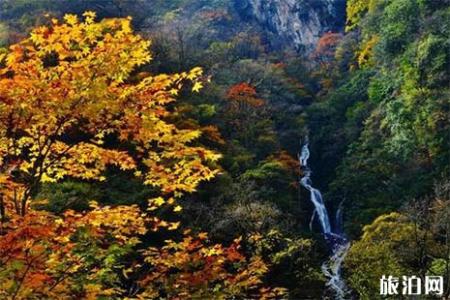 2018宝兴县夹金山要门票吗 夹金山红叶节是什么时候举办 红叶节持续多长时间