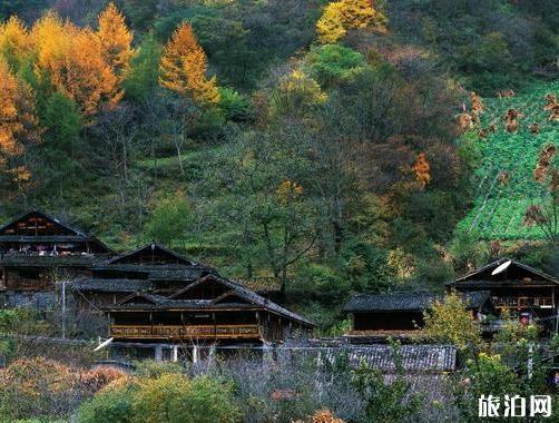 2018宝兴县夹金山要门票吗 夹金山红叶节是什么时候举办 红叶节持续多长时间