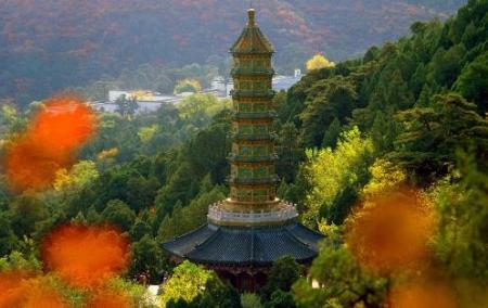 坡峰岭和香山哪个更适合看红叶