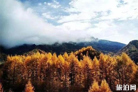 2018神农架免费的地方 当地居民凭身份证免票进景区免票持续五天吗