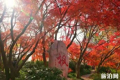 南京周边赏红叶的地方有哪些
