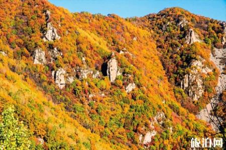 北京哪里看枫叶最好 北京看红叶去哪里最好