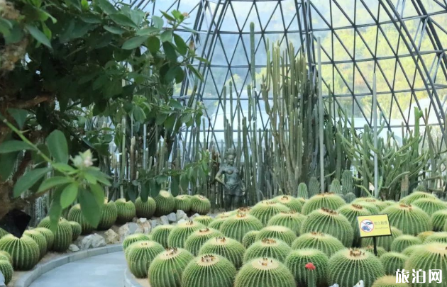 2018年仙湖植物园可以开车进去吗 深圳仙湖植物园门票+拍照攻略