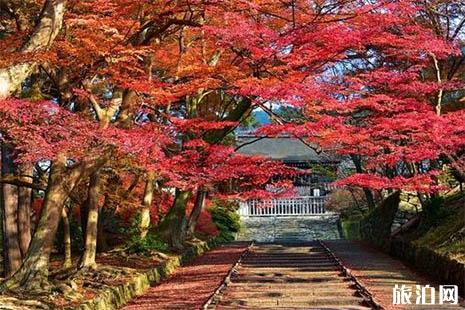 贵州秋季最美景点排名榜