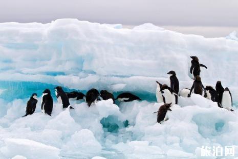 去南极需要签证吗 南极旅游应注意什么