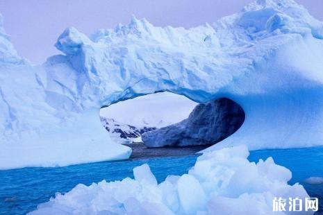 南极旅行多少钱 南极和北极哪个更冷