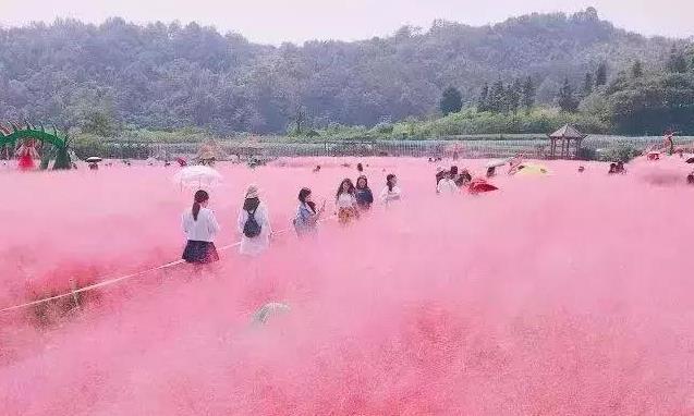 温州好玩的小众景点