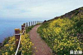 济州旅游巴士怎么坐 济州市外巴士客运站攻略 济州岛公交车价格+攻略