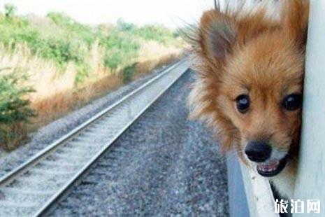 火车上可以带宠物么 怎么带宠物上火车