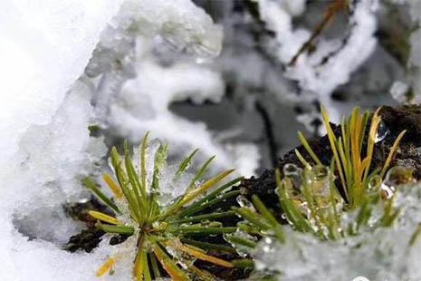 2018陕西太bai ?山下雪了吗 11月太bai ?下雪启山吗