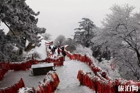 華山下雪了嗎 華山雪景冬天攻略