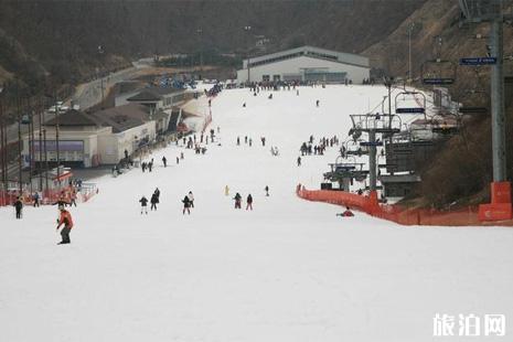 江原道滑雪攻略
