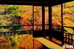 琉璃光院2018开放时间+交通 琉璃光院门票+在哪里+介绍
