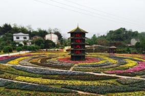 重庆凤凰花海门票多少钱+优惠政策