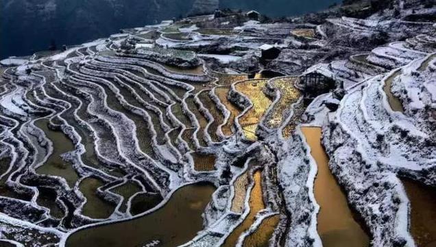 贵州12月1日有哪些免费景点