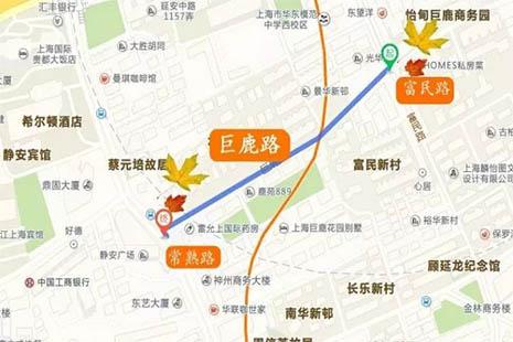 2018上海落叶不扫景观道路都有哪些 开放时间+地图 
