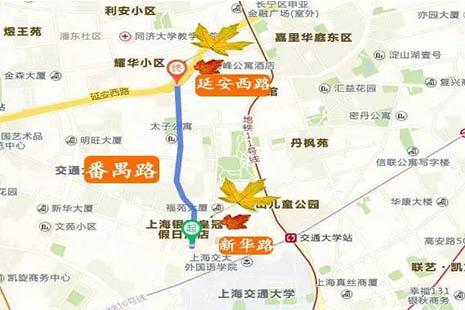 2018上海落葉不掃景觀道路都有哪些 開放時間+地圖 