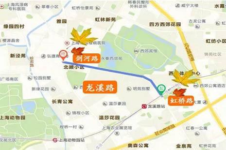 2018上海落葉不掃景觀道路都有哪些 開放時間+地圖 