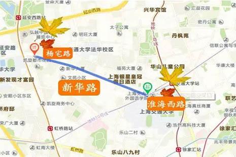 2018上海降叶没有扫景没有雅门路皆有哪些 开放时候+舆图 