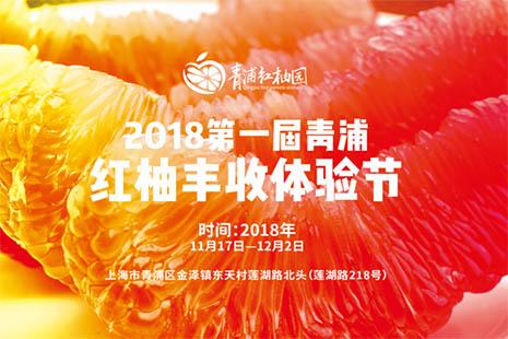 2018上海红柚采摘体验活动在哪里 时间+地点