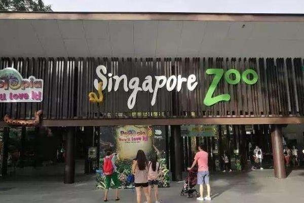 新加坡动物园攻略