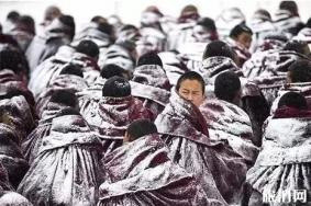 拉卜楞寺毛兰姆法会时间 拉卜楞寺毛兰姆法会活动介绍