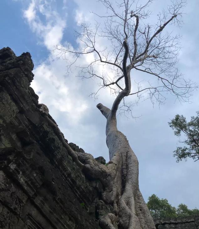 为甚么往柬埔寨旅游便宜