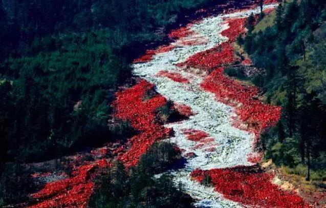 12月份適合去哪兒旅游