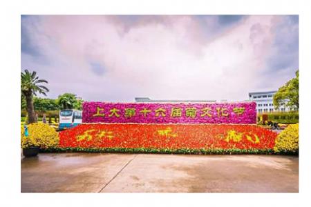 2018上海大学菊花展11月15号开幕