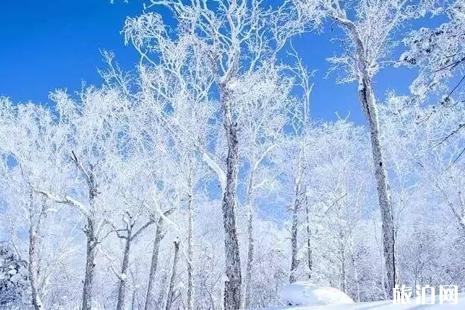 夏季那里的雪景最好 那三大年夜处所夏季必往