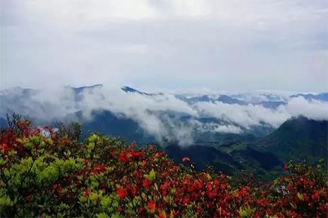 丽水遂昌有什么景点