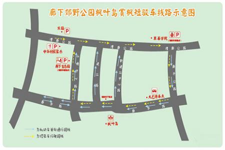 2018-2019上海金山枫叶岛免费接驳车地点 赏枫叶交通指南