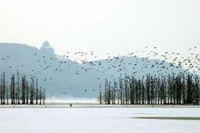 2018-2019武汉亲子游年卡内包含景区名录